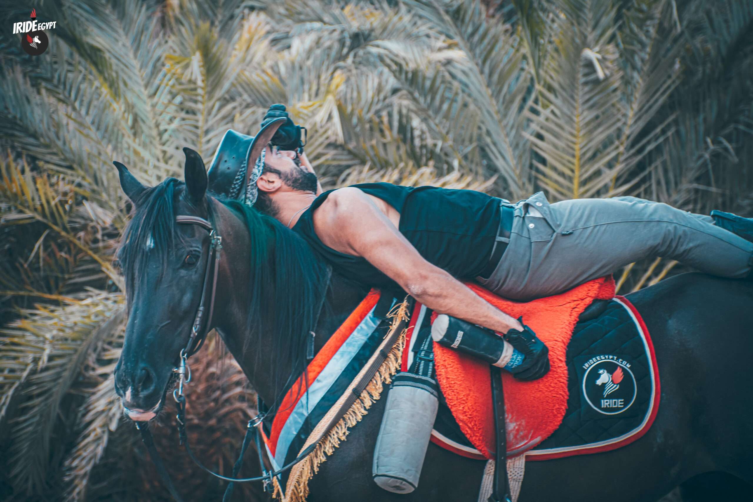 Rider relaxing on his horse under palm trees in Dahab