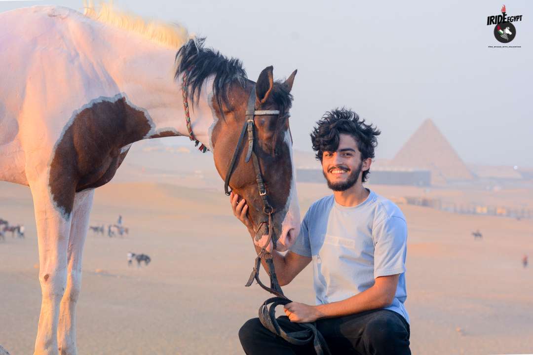 Guest with a white Arabian horse near the Pyramids