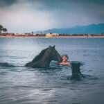 Horse swimming with its rider in the sea at Dahab