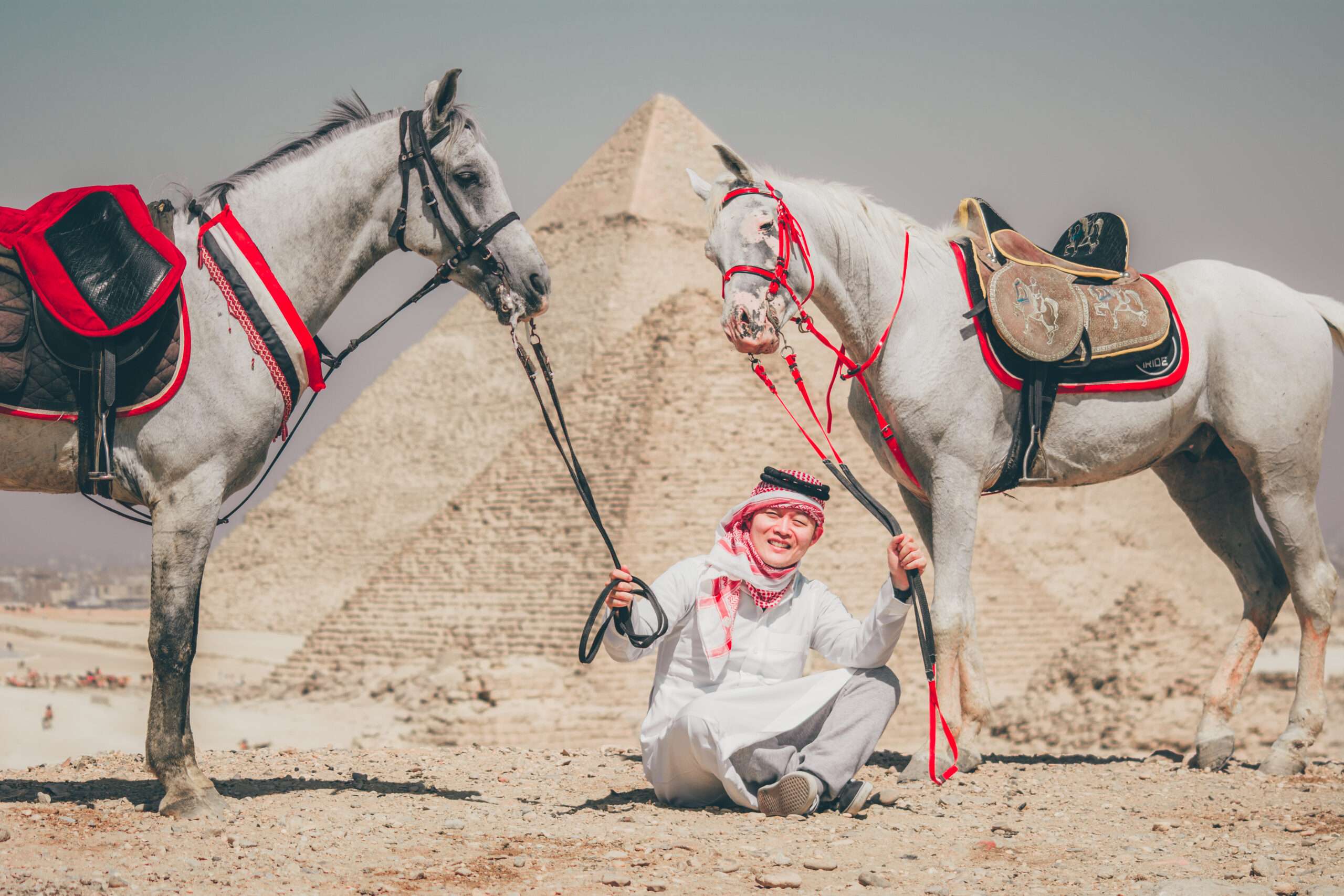 Guide with two white Arabian horses at the Pyramids