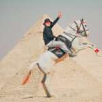 Rider on a rearing white horse in front of a pyramid