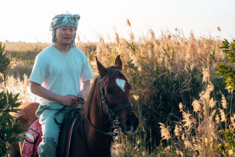 Rider on a chestnut horse among the reeds of Fayoum