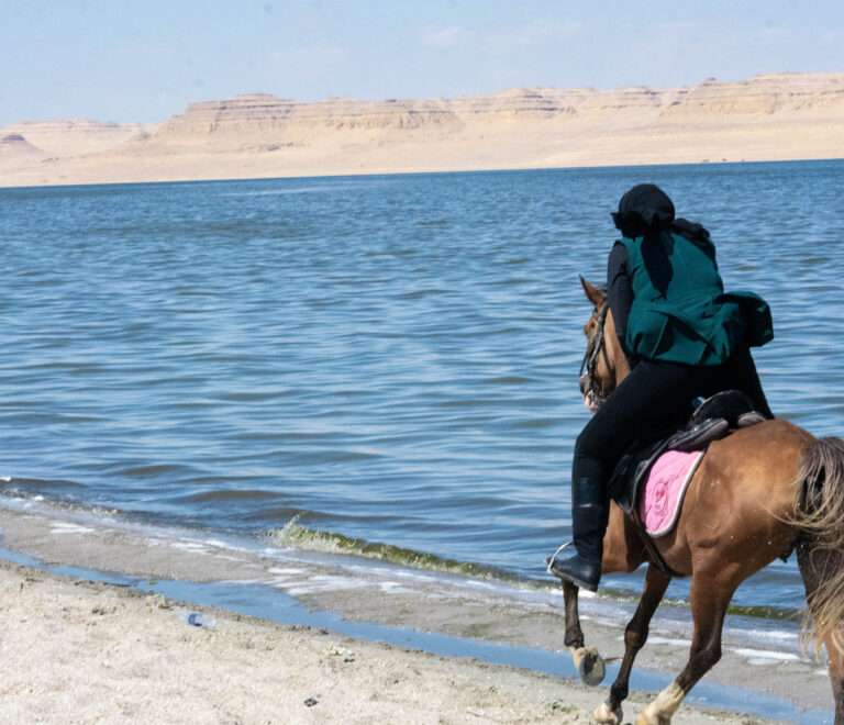 Galloping by Qarun Lake