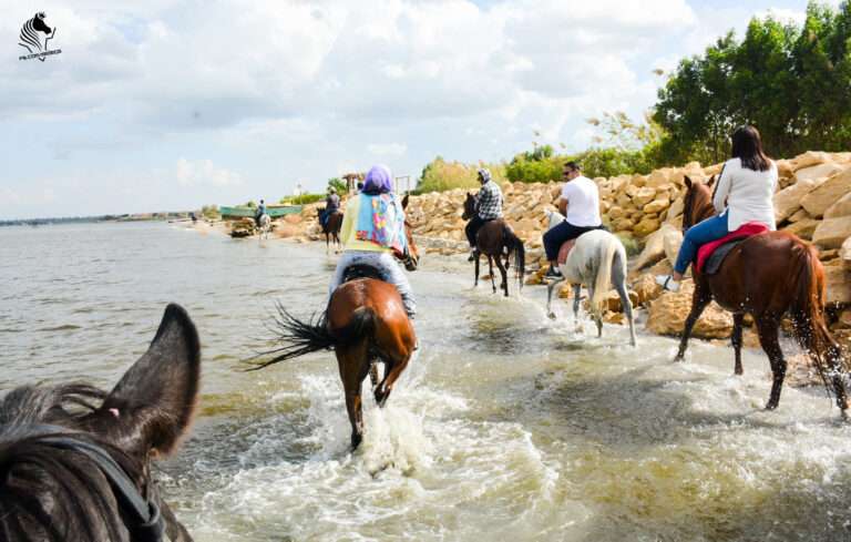 Group ride splashing in the water at Lake Qarun