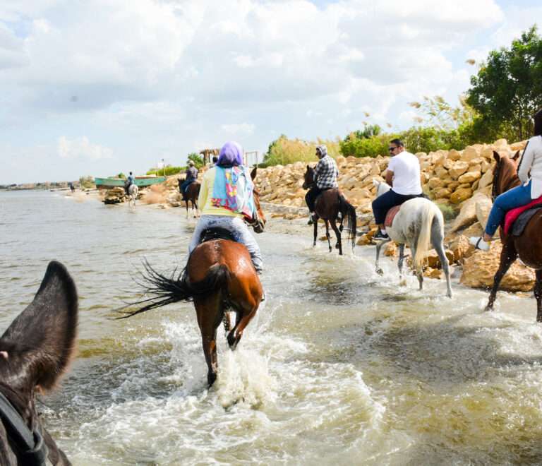 Riding in Qarun Lake