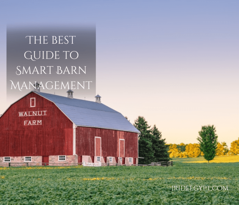 A traditional red barn with 'Walnut Farm' painted on its side, set against a sunset sky with a green field in the foreground and golden-lit trees in the background. Text overlay reads 'THE BEST GUIDE TO SMART BARN MANAGEMENT