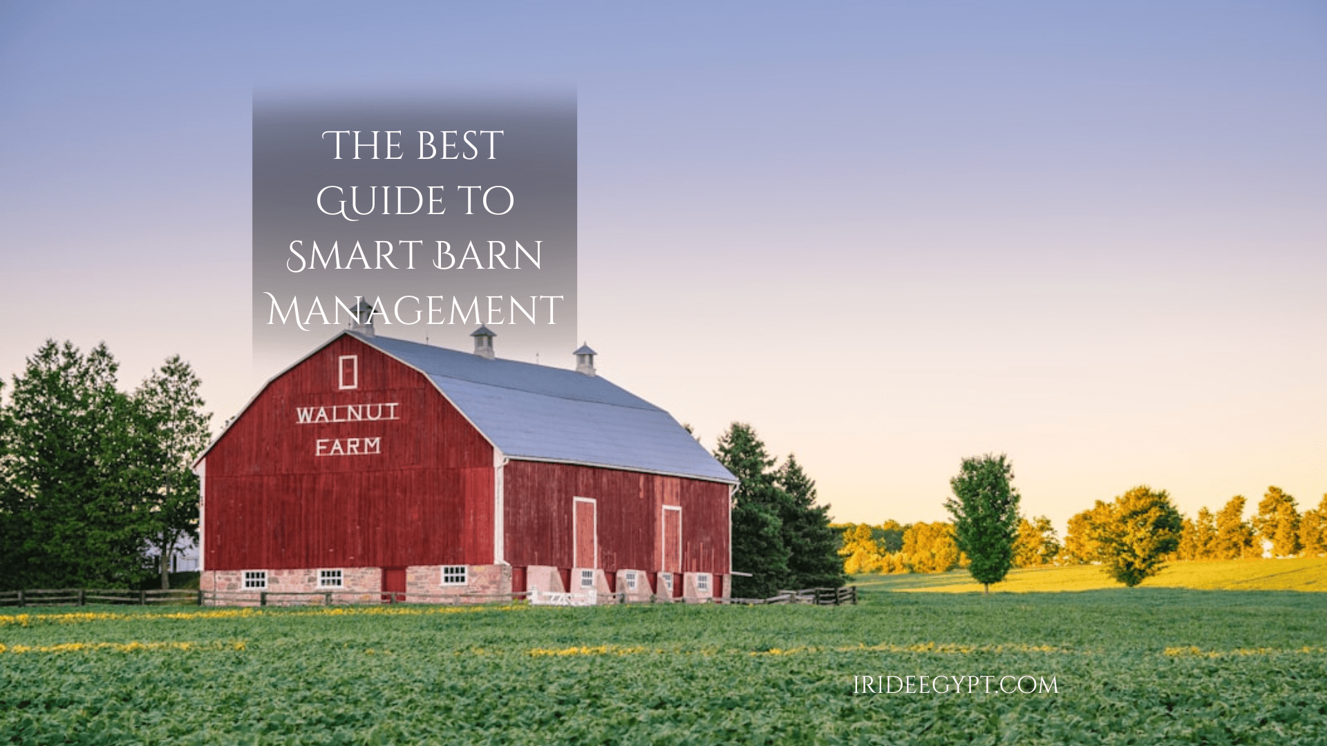 A traditional red barn with 'Walnut Farm' painted on its side, set against a sunset sky with a green field in the foreground and golden-lit trees in the background. Text overlay reads 'THE BEST GUIDE TO SMART BARN MANAGEMENT