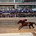 A horse racing scene at a track with a jockey wearing pink and white silks riding a brown horse numbered 6, racing against a dirt track backdrop with crowded grandstands visible in the background.