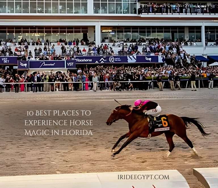 A horse racing scene at a track with a jockey wearing pink and white silks riding a brown horse numbered 6, racing against a dirt track backdrop with crowded grandstands visible in the background.