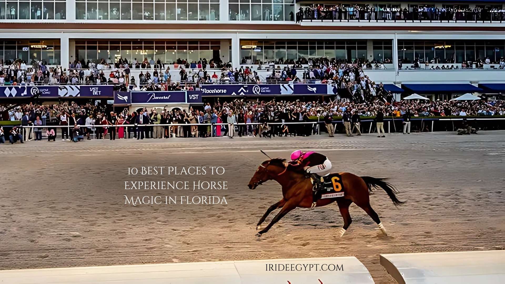 A horse racing scene at a track with a jockey wearing pink and white silks riding a brown horse numbered 6, racing against a dirt track backdrop with crowded grandstands visible in the background.