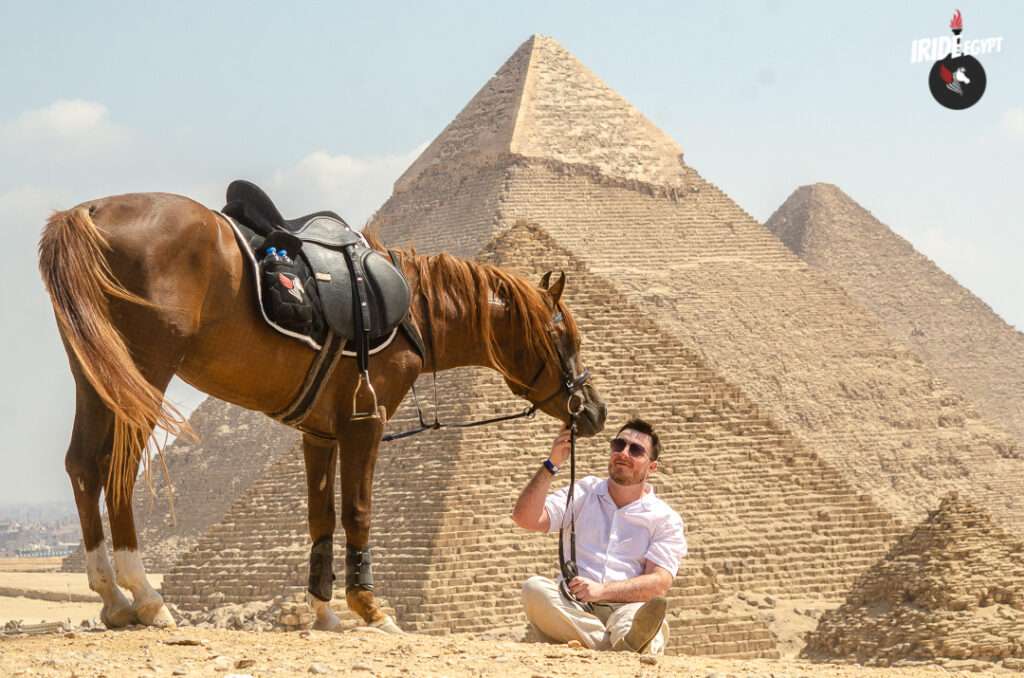 Guest with a chestnut Arabian horse at the Great Pyramids
