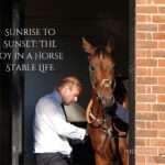 A person in a white dress shirt and dark pants tending to a brown horse in a brick-framed stable doorway, with text overlay reading "Sunrise to sunset: The joy in a horse stable life