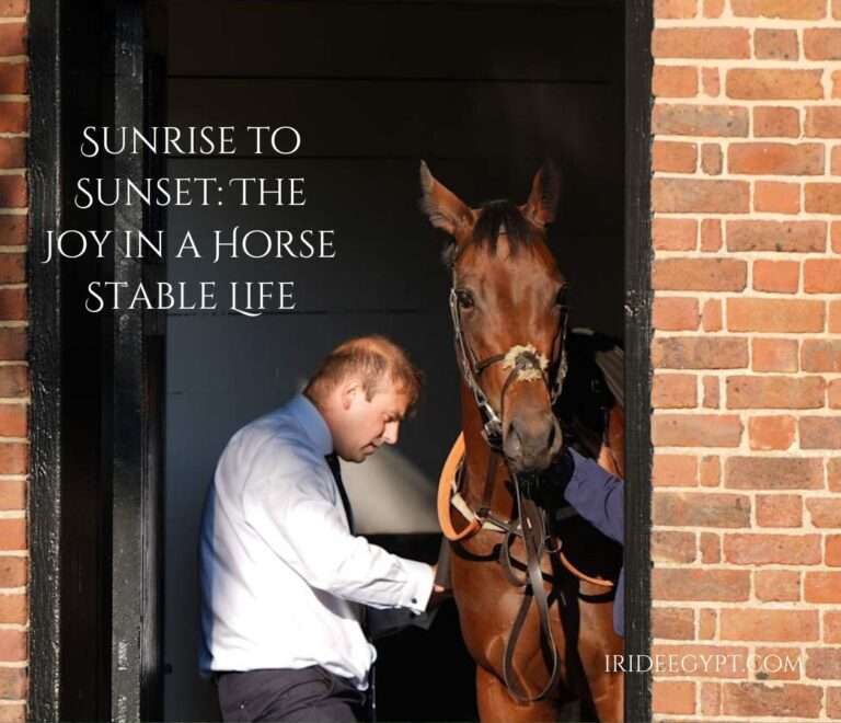 A person in a white dress shirt and dark pants tending to a brown horse in a brick-framed stable doorway, with text overlay reading "Sunrise to sunset: The joy in a horse stable life