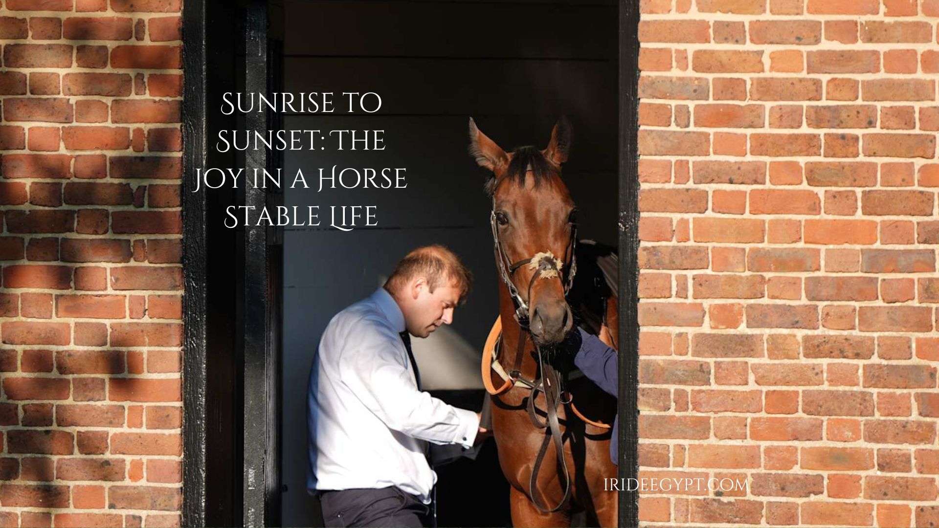 A person in a white dress shirt and dark pants tending to a brown horse in a brick-framed stable doorway, with text overlay reading "Sunrise to sunset: The joy in a horse stable life