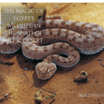 A horned viper snake coiled on sandy desert ground, with brown and beige scales creating a distinctive pattern. The image includes text overlay reading 'THE MAGIC OF EGYPT'S WILDLIFE: IN THE SPIRIT OF NILE & DESERT' and a website watermark 'IRIDEEGYPT.COM'