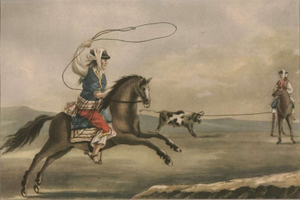 Gaucho on horseback with a lasso, 19th-century painting