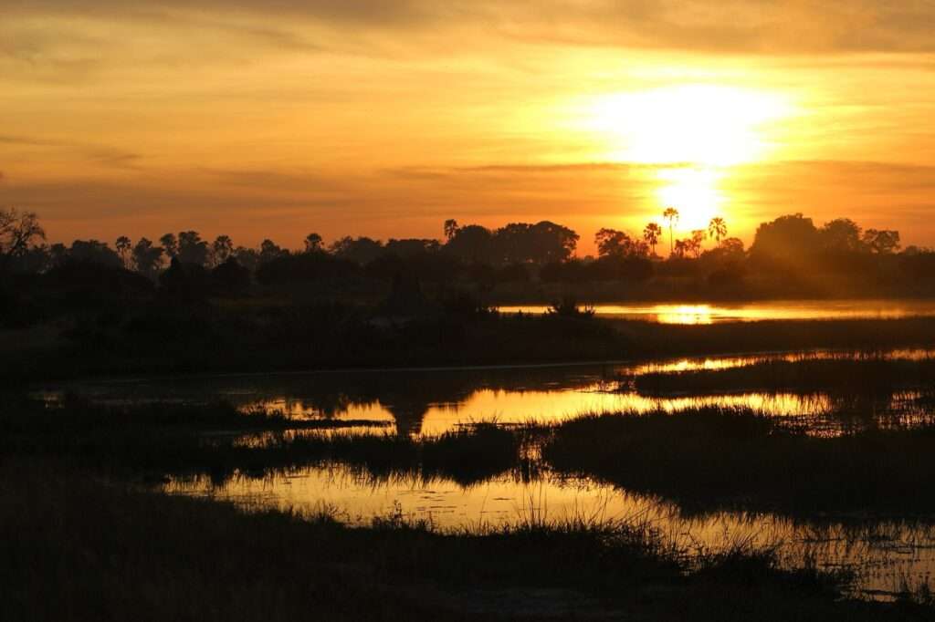 Sunrise over the Okavango Delta, Botswana