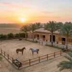 Well-kept horse barn and paddock among palm trees at sunrise